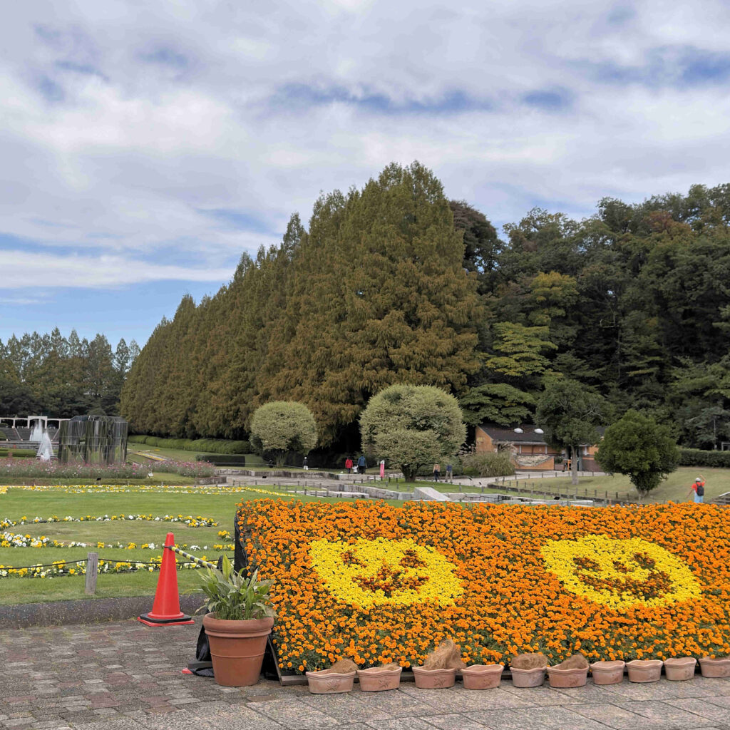 ハロウィンの植栽